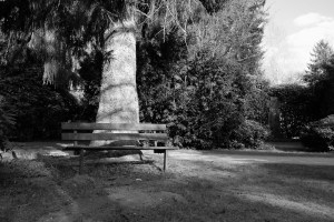 Garten der Frauen, Friedhof Ohlsdorf, Hamburg