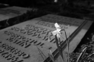 Garten der Frauen, Friedhof Ohlsdorf, Hamburg