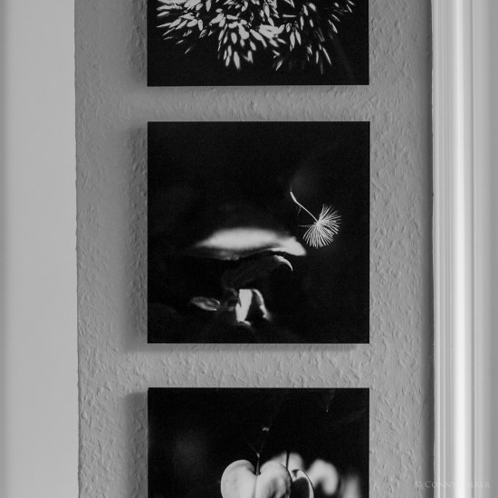 .... und ab an die Wand damit. 