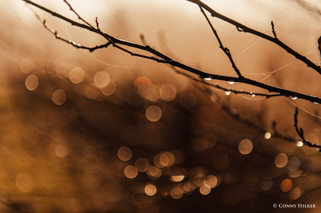 Nebel und Sonne (8 von 11)