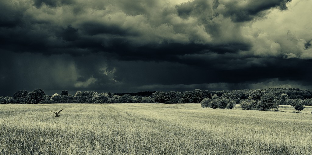 RIDERS ON THE&nbsp;STORM