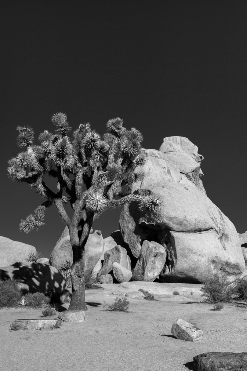 DSC_8270-Bearbeitet-2