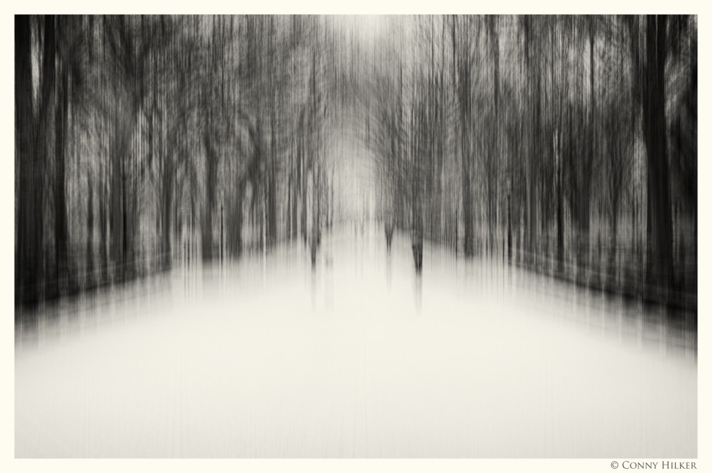 Central Park, New York in motion, in Bewegung, monochrom