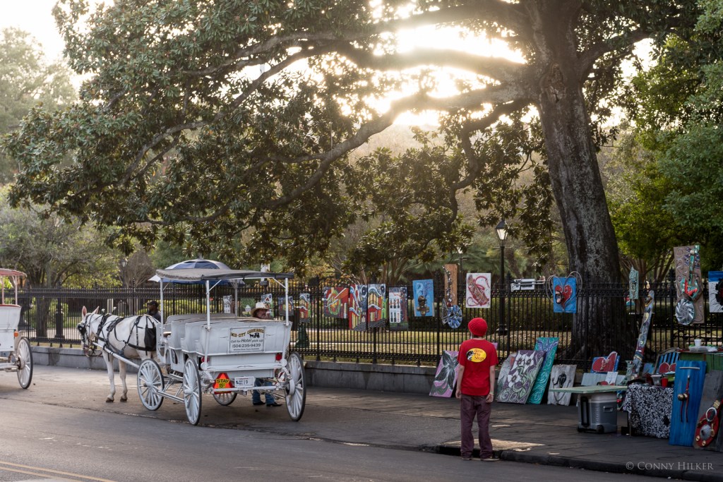 New Orleans, Louisiana, USA