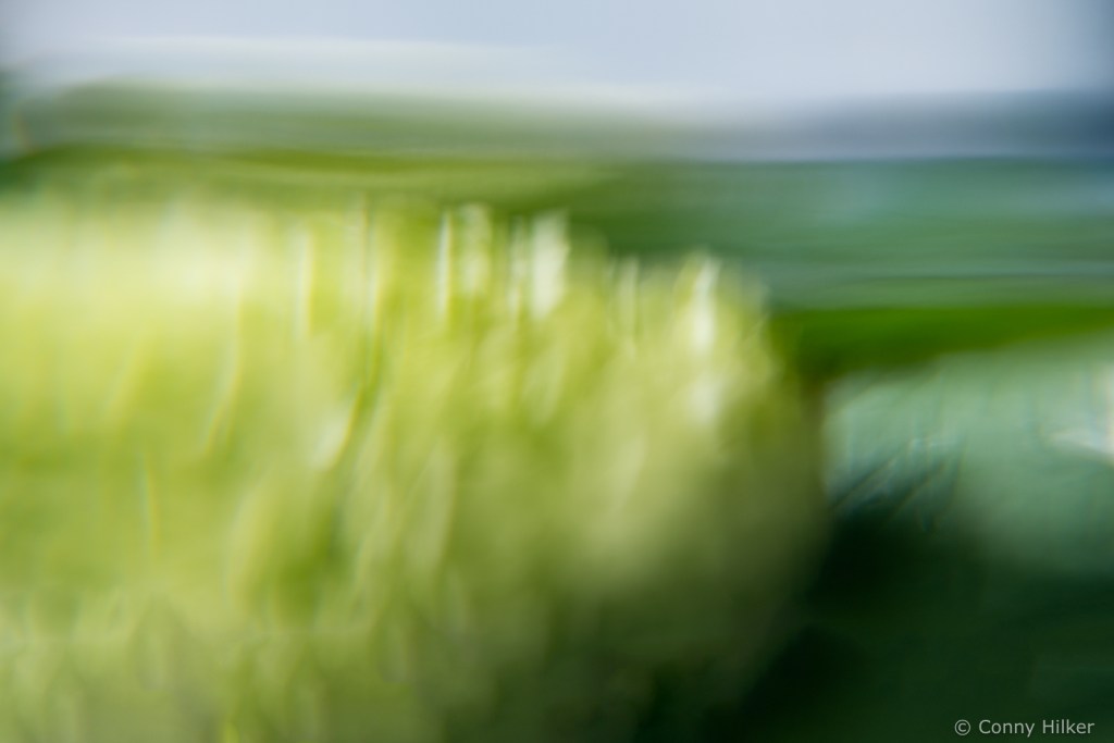 Fotografie, Experiment, indoor, Wasser, Kohlensäure,