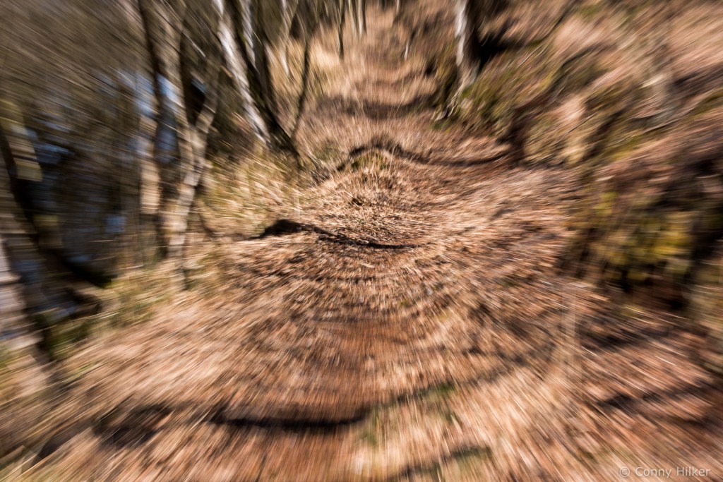 Ein Waldweg mit starkem Zoom-Effekt