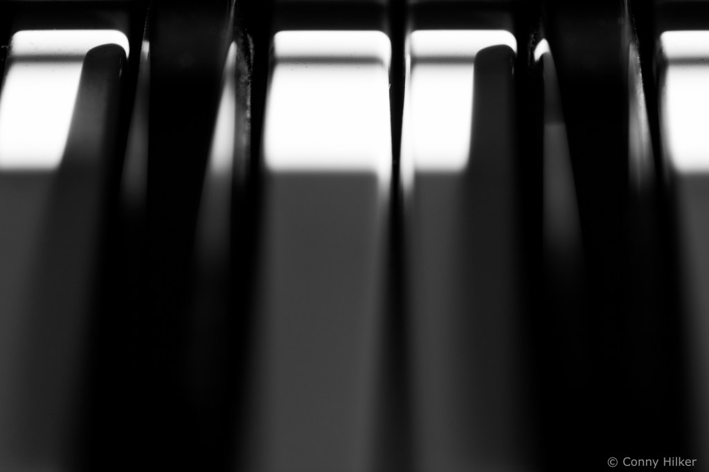 Licht- und Schattenwürfe in s/w