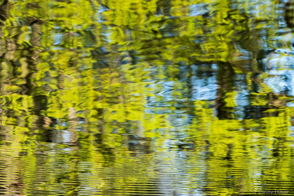 Spiegelung im Wasser, auf den Kopf gestellt. Kreativität, Fotografie
