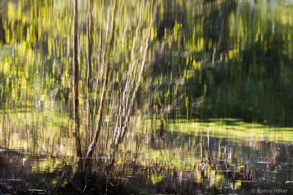 Spiegelung im Wasser, auf den Kopf gestellt. Kreativität, Fotografie
