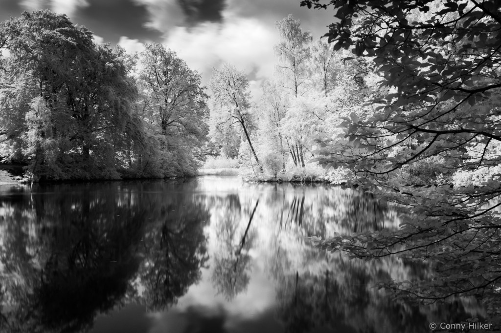 Infrarot, Fuji x100t, Natur, woodeffekt