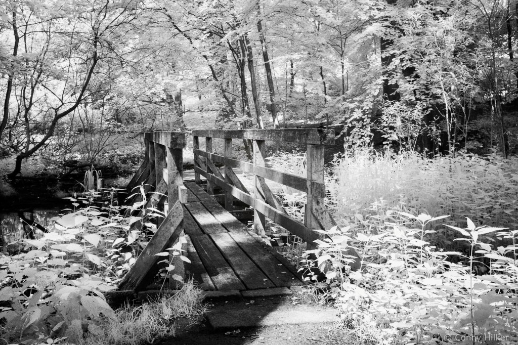 Infrarot, Fuji x100t, Natur, woodeffekt