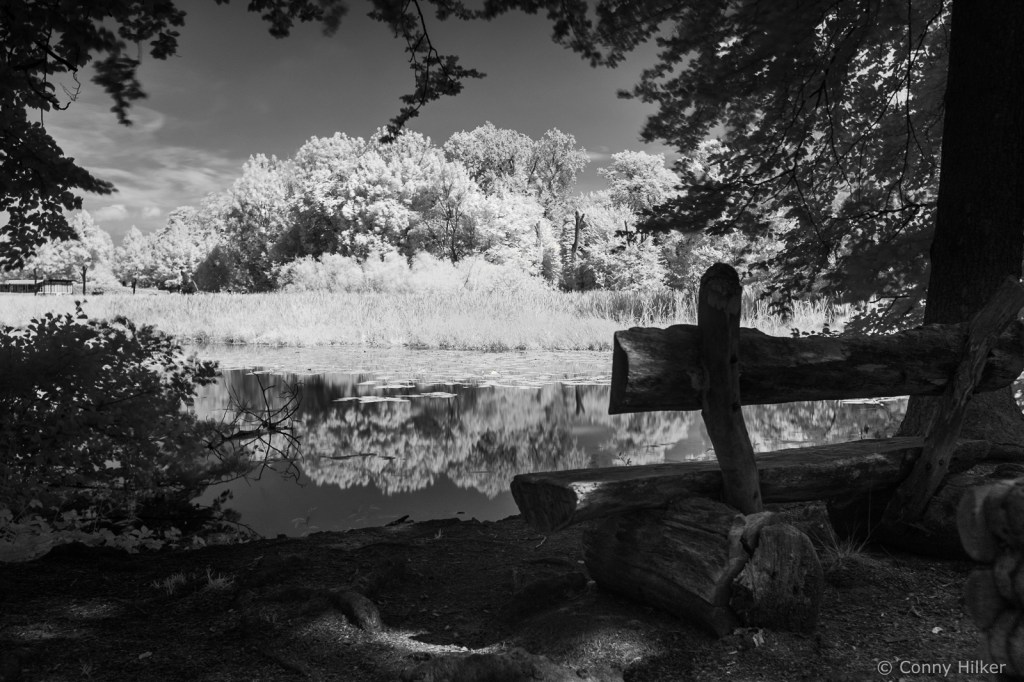 Infrarot, Fuji x100t, Natur, woodeffekt