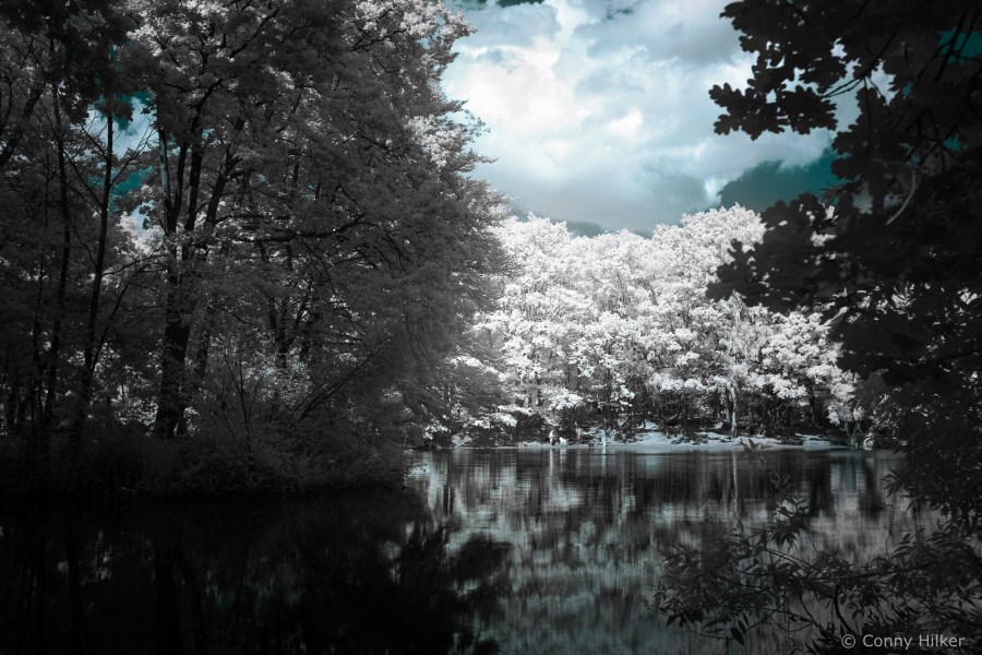 Falschfarben-Infrarot