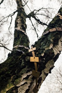 Bilder und Worte (1 von 1)-3