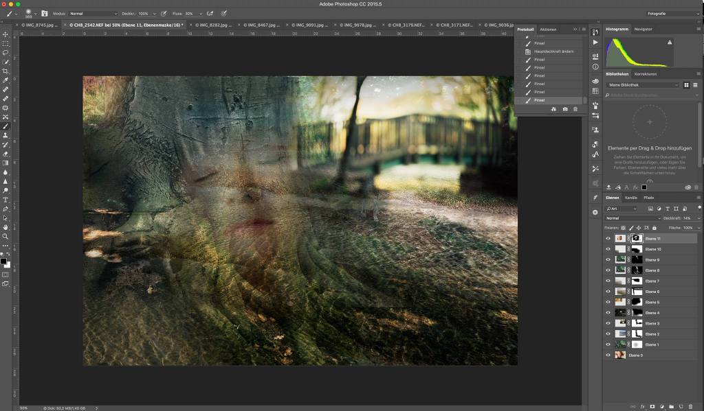 14445029_1211025632302322_1708979080280759352_o