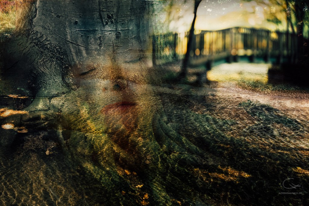 ch8_2542-collage-connyhilker-Frieden