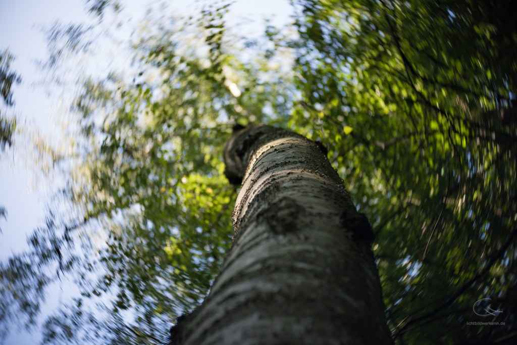 Lensbaby Twist, Nikon D810, Unschärfe, Fokus, Vintage,