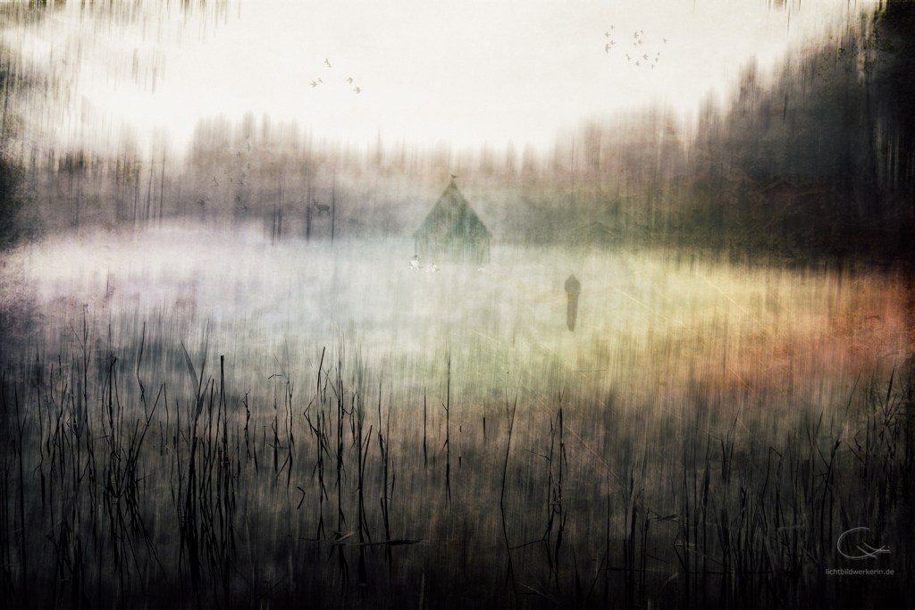 ch8_3065-collage-connyhilker-der traum-