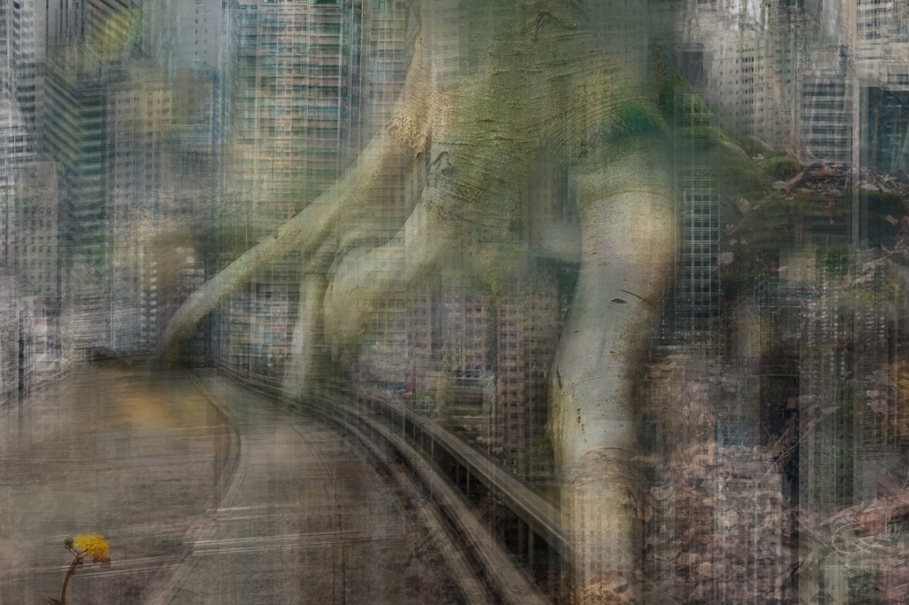 dscf0165-collage-connyhilker-Stärke-