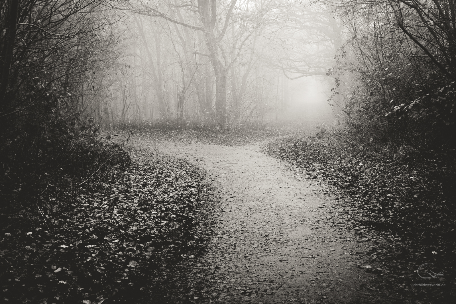 Seltsam im Nebel zu wandern