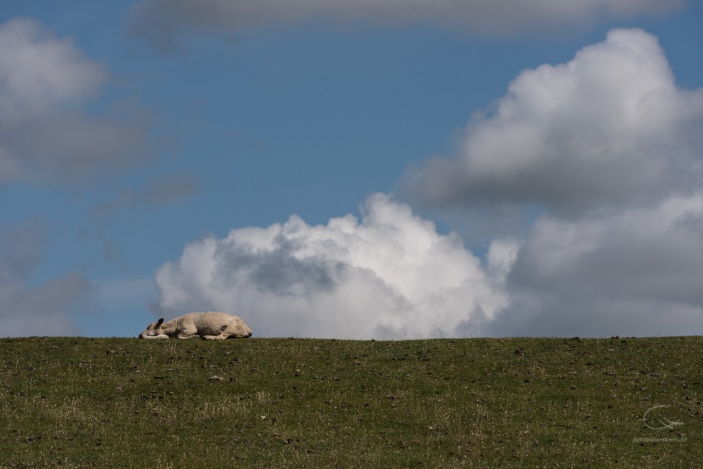 Und dann kommt alles anders, als man&nbsp;dachte