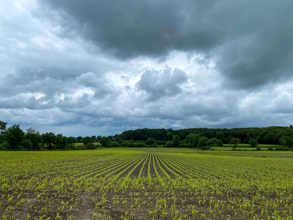 Vom sich vertraut&nbsp;machen