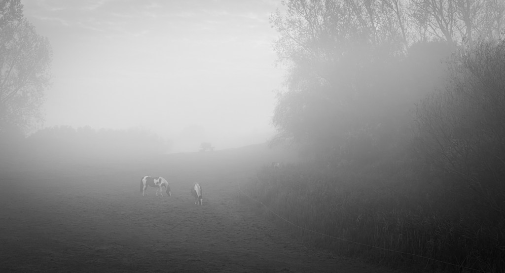 Gedanken im Nebel
