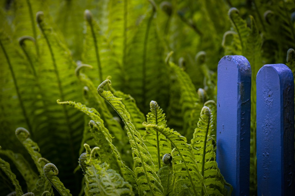 Vom Suchen und&nbsp;Finden